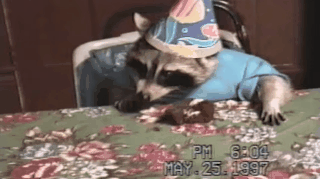 raccoon,birthday,party