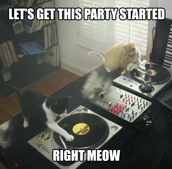 happy birthday cat,cat,dj,party cat,party