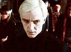 draco malfoy,movies,angry,hp,nervous,suspicious,gang