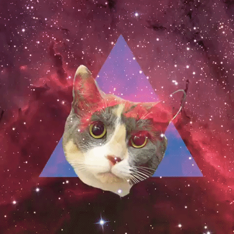lindsay lohan,cat,la curiosa,universe cat,mistic cat,nebula cat,cats and space,darks cats,driving cats