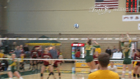 volleyball,bison,ndsu,north dakota state,milligan