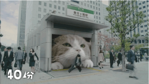 killing,cat,weird,beautiful,eating,graphics,commercial,japanese,surprising,giant cat,gum commercial