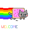 welcome,nyan cat,poptarts,transparent,cat,rainbow,grey