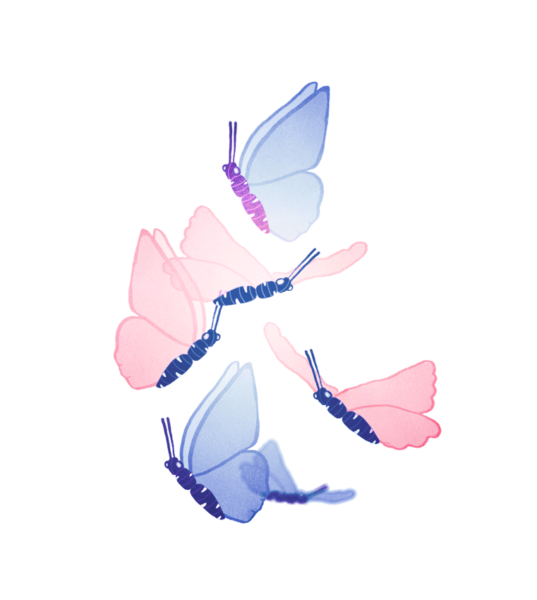 butterfly,animation,beauty,flying,fly,illustration,nature