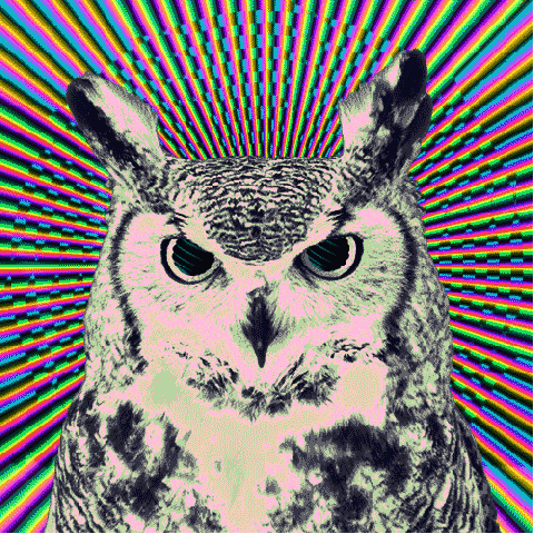 owl,trippy