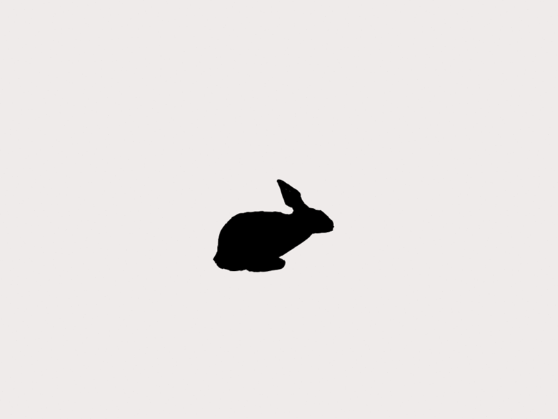 Кролик gif. Анимированный кролик. Кролик Минимализм. Кролики гифки. Rabbit gif