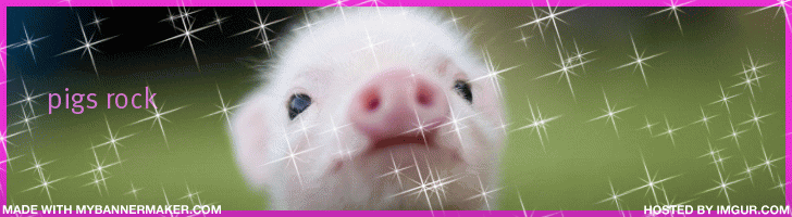 baby animals,baby pig,pigs,pig,piglets