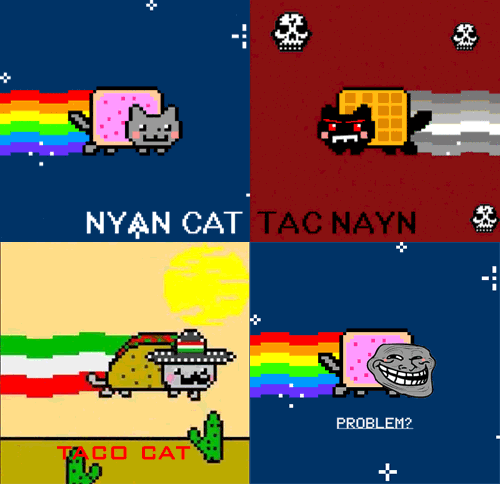 nyan cat,tac nayn,cat,taco cat