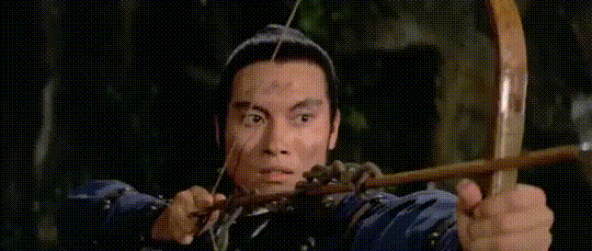 women warriors,martial arts,kung fu,shaw brothers,the 14 amazons