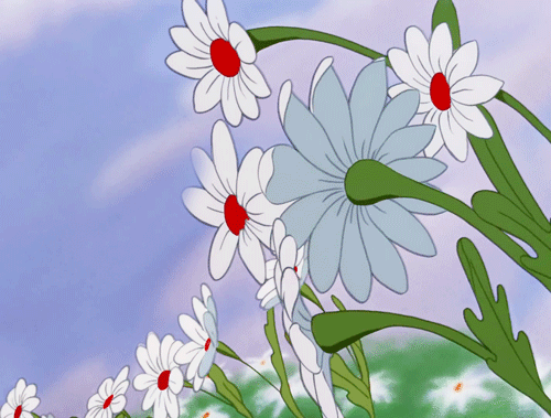 spring,alice in wonderland,disney,flowers