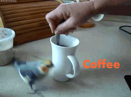 coffee,cup