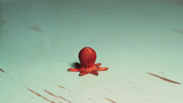Funny Gifs Octopus Gif Vsgif Com