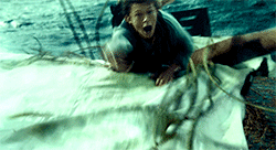 in the heart of the sea,chris hemsworth,tom holland,cillian muhy,heart of the sea