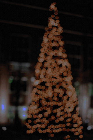 snow,beautiful,christmas lights,christmas,magic,winter,lights,tree