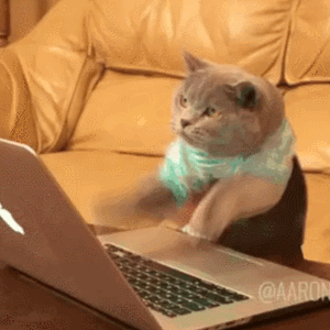 cat,reaction,cats,typing,working,hacker,facebook,best,actions,hacking,webs