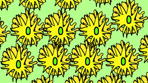 sunrise,art,love,animation,psychedelic,surreal,pattern,unity,donovan,jimmy snuka,dada,rhythm,dax norman,repetition,sunflowers,superfly,curtis mayfield