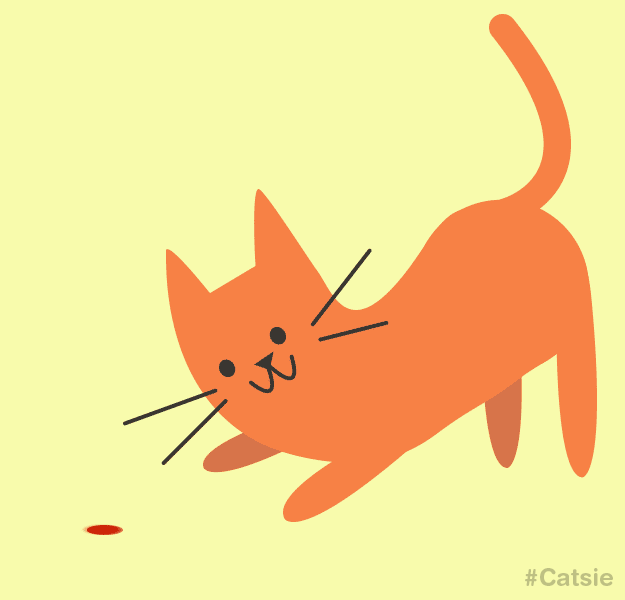 Кошечка гифка. Кошка гиф. Котик gif. Картинки кошки гиф. Gif картинки котики.