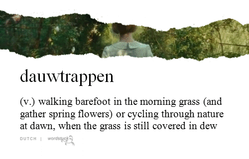 submission,wordstuck,dew,dauwtrappen,nature,celebration,morning,holiday,walk,d,bicycle,christian,cycling,dawn,grass,thousand,dutch,verb,ascension day