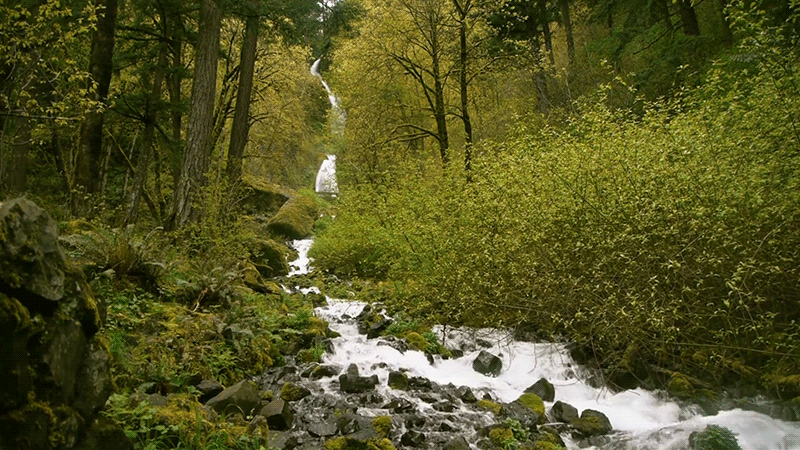 cinemagraph,nature,waterfall,love,beauty,autumn,jerology,majestic,creek