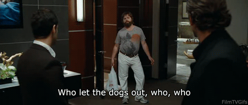 who let the dogs out,hangover,zach galifianakis,movies,film