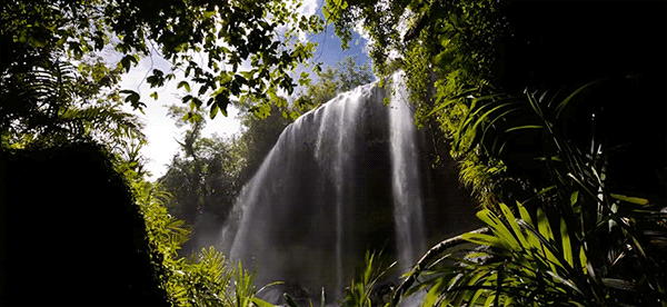 waterfall,nature,cinemagraph,beauty,jerology,majestic,taki