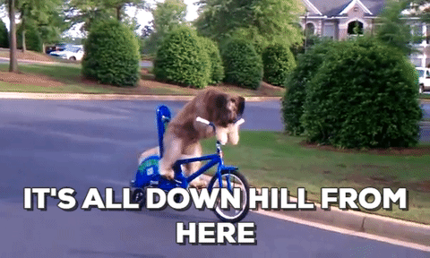 dog,bicycle,downhill,uphill climb