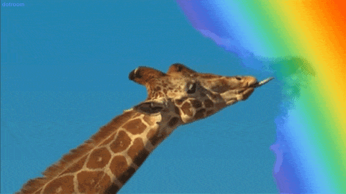 skittles,advertising,licking,animals,rainbow,chewing,giraffe,taste,lets blow this joint