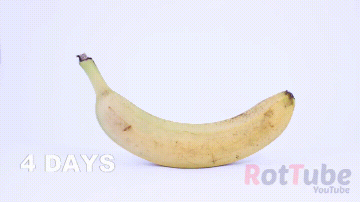 timelapse,banana