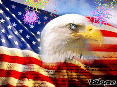 american flag,eagle,picture,flag