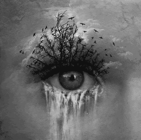 forest,clouds,black and white,tears,crying,trees,eye,girl,waterfall,birds