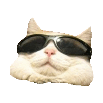 chill,transparent,cats,people,glasses,relax