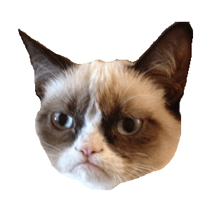 transparent,no,grumpy cat