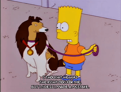 dog,bart simpson,season 8,episode 20,disappointed,8x20,returning