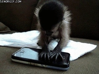 iphone,iphones,monkey,angry birds,animals,wtf,planet of the apes,squirrel monkey,playing with cell phone,tiny pet