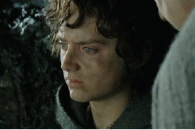 the lord of the rings,frodo,funny,sad,friends,people,hate,hobbit,elf,discussion,expression,galadriel