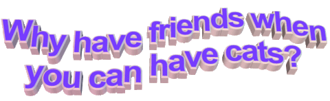 transparent,friends,animatedtext,words,purple,phrase,why have friends when you can have cats,ask for an orgasm
