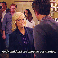 parks and recreation,amy poehler,parks and rec,leslie knope,ben wyatt,500plus