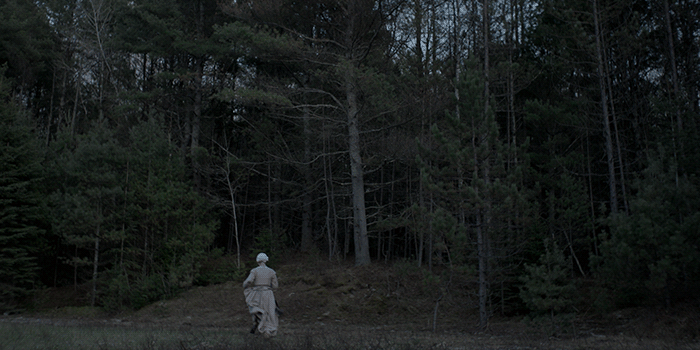 the witch,movie,horror,forest,trees