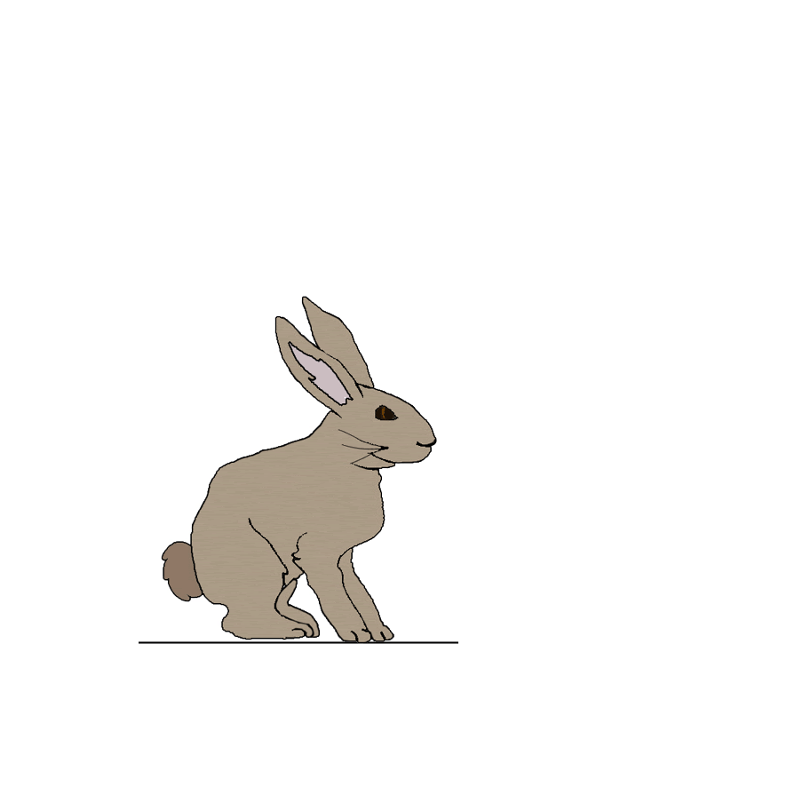 Заяц в купальнике