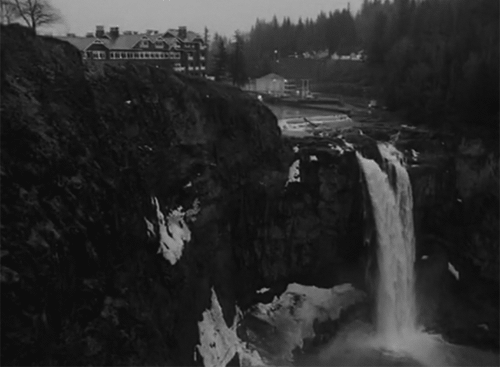 black and white,nature,twin peaks,waterfall,david lynch