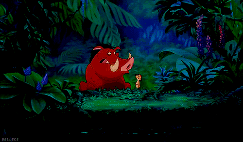 the lion king,animation,film,disney,1994,lion king