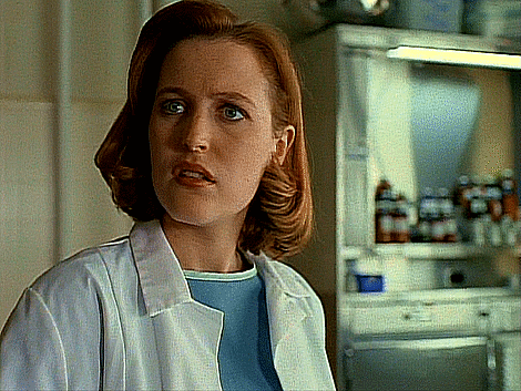 david duchovny,cannibalism,chris carter,gillian anderson,dana scully,fox mulder,xfiles,the truth is out there,i want to believe,trust no one,deny everything,frank spotnitz,hrothgar mathews,robin mossley