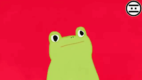 high,frog,lol,colors