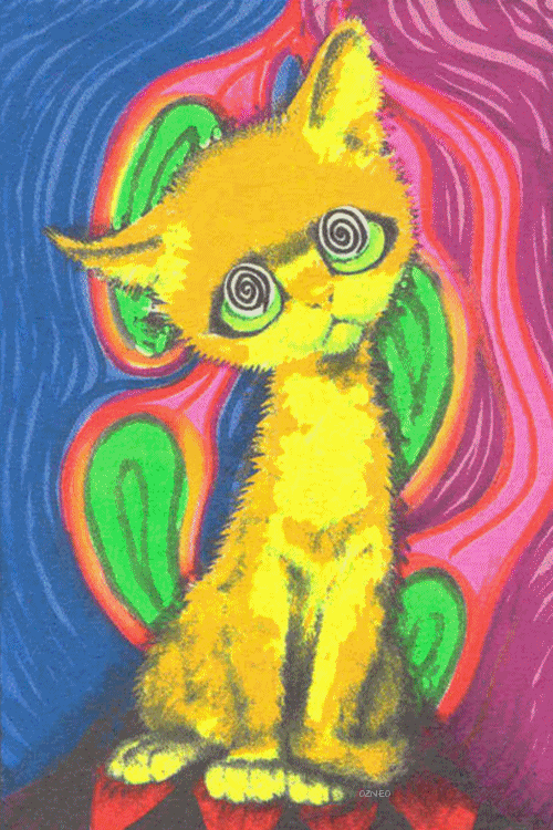 lsd,trip,stoned,drugs,colors,acid,trippy cats,trippy animals