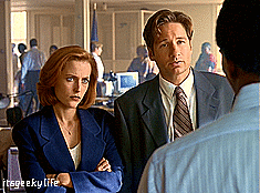 gillian anderson,david duchovny,i want to believe,dana scully,chris carter,fox mulder,xfiles,laurie holden,the truth is out there,mitch pileggi,special agent fox mulder,special agent dana scully,trust no one