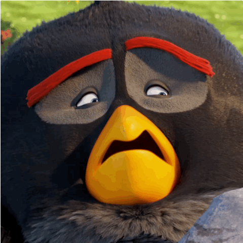 angry birds,why,bird,bomb,sad,no,crying,stop,the angry birds movie