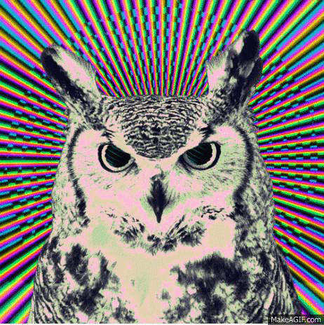 trippy,psychedelic,animal,drugs,trip,owl