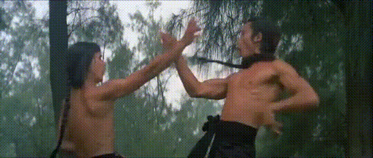 shaw brothers,tag team,fight,martial arts,kung fu,kick ass,five shaolin masters