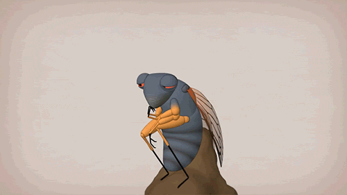 cicada,insect,rodin,insects,animation,science,fight club,education,thinking,bug,bugs,tededucation,teded,ted education,ted ed,entymology,rose eveleth,cicadas,life science,eli enigenburg,cicadae,the thinker