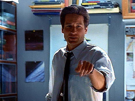 david duchovny,fox mulder,the lone gunmen,chris carter,gillian anderson,dana scully,xfiles,the truth is out there,i want to believe,trust no one,mitch pileggi,assistant director skinner,william b davis